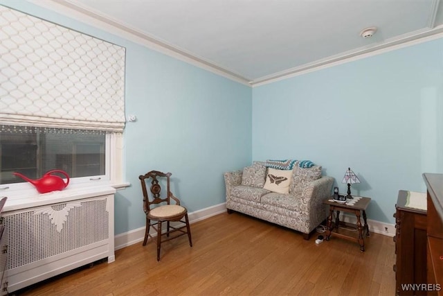 83 Bryant # 7Ab, Buffalo, NY 14209 - sitting room with ornamental molding and light wood-style flooring