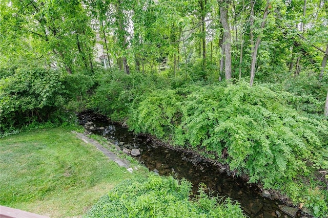 668 Willow Ln, Webster, NY 14580 - view of green lawn featuring a wooded view