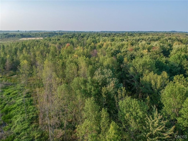 Black Creek Rd, Clayton, NY 13624 - photo 10