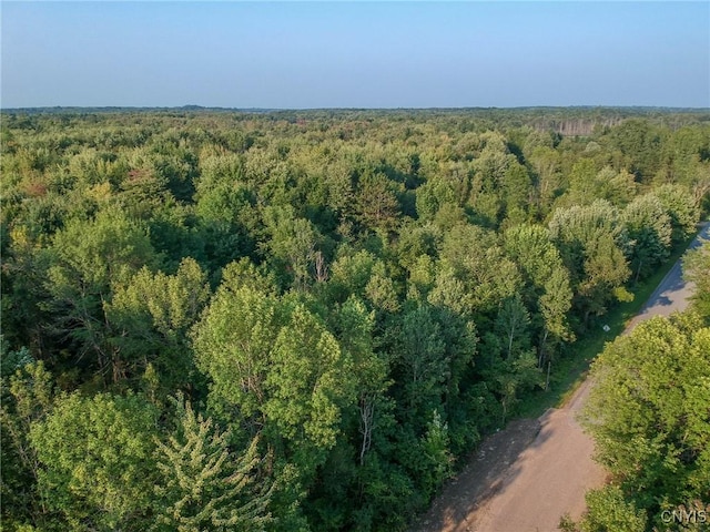 Black Creek Rd, Clayton, NY 13624 - photo 11