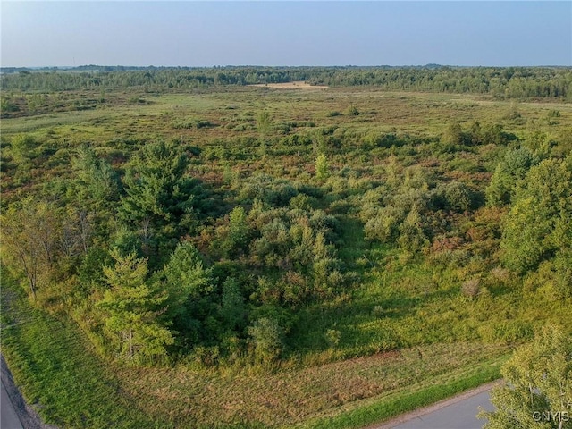 Black Creek Rd, Clayton, NY 13624 - photo 14