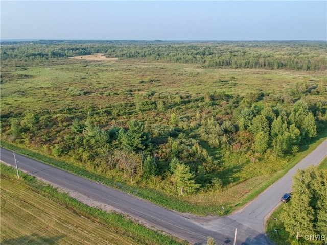 Black Creek Rd, Clayton, NY 13624 - photo 15