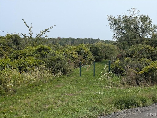 Black Creek Rd, Clayton, NY 13624 - photo 20