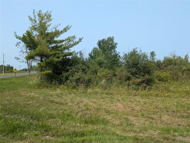 Black Creek Rd, Clayton, NY 13624 - photo 21