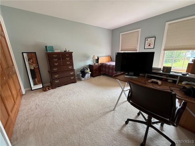 26 Forestglen Cir, Amherst, NY 14221 - office area with carpet