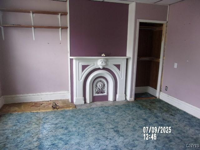 20 N 4th Ave, German Flatts, NY 13357 - detailed view of carpet