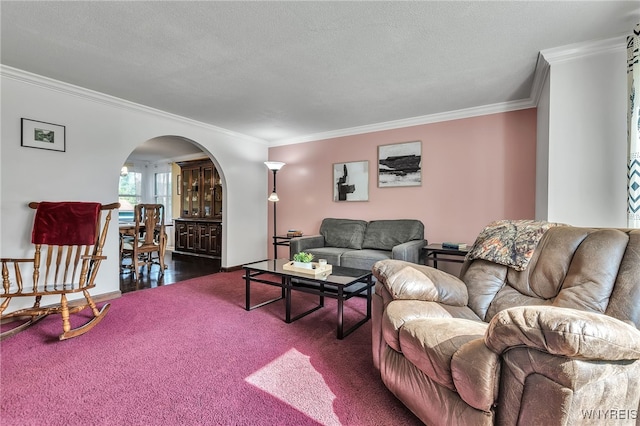 112 Creekview Dr, West Seneca, NY 14224 - living area with arched walkways, crown molding, and dark colored carpet