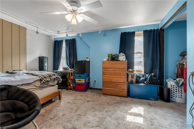112 Creekview Dr, West Seneca, NY 14224 - bedroom with carpet floors, track lighting, and a ceiling fan