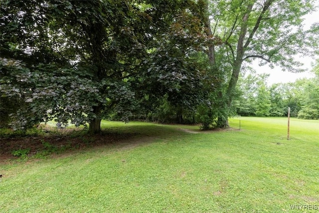 5156 Fairgrounds Rd, Hamburg, NY 14075 - view of grassy yard