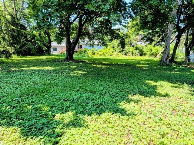 883 Brown Rd, Irondequoit, NY 14622 - view of green lawn