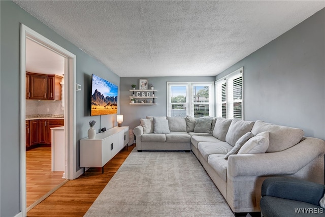 445 75th St, Niagara Falls, NY 14304 - living room featuring light wood-style floors and a textured ceiling