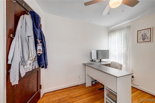 445 75th St, Niagara Falls, NY 14304 - home office featuring light wood-type flooring and ceiling fan