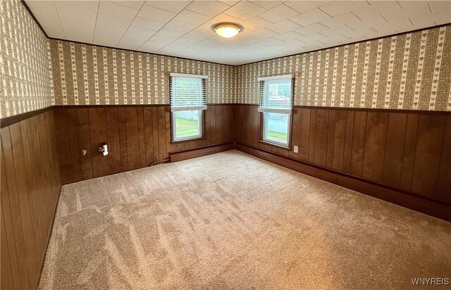652 E Main St, Batavia City, NY 14020 - photo 28