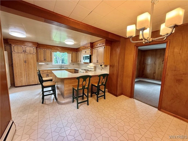 652 E Main St, Batavia City, NY 14020 - photo 6