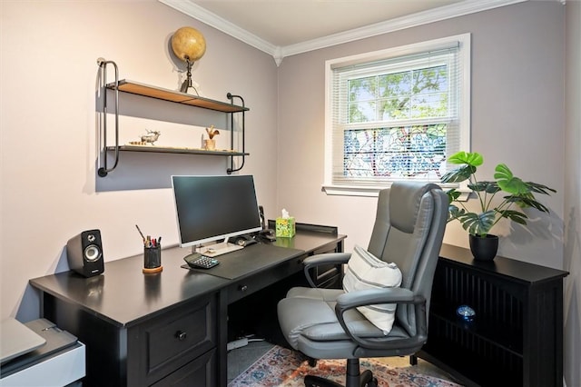 798 Hawthorne Pl, Webster, NY 14580 - office area with crown molding