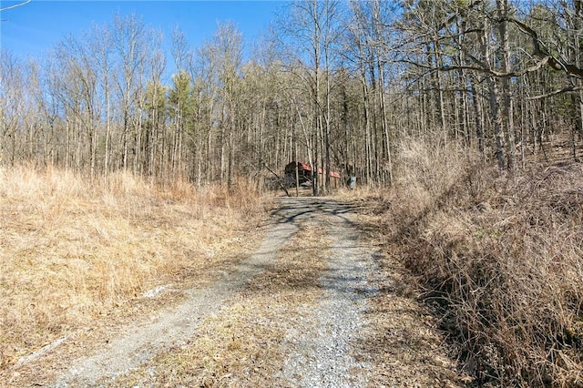 4551 State Route 64, Bristol, NY 14424