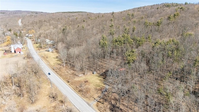 4551 State Route 64, Bristol, NY 14424