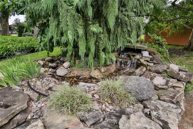 46 Macarthur Dr, Amherst, NY 14221 - view of yard