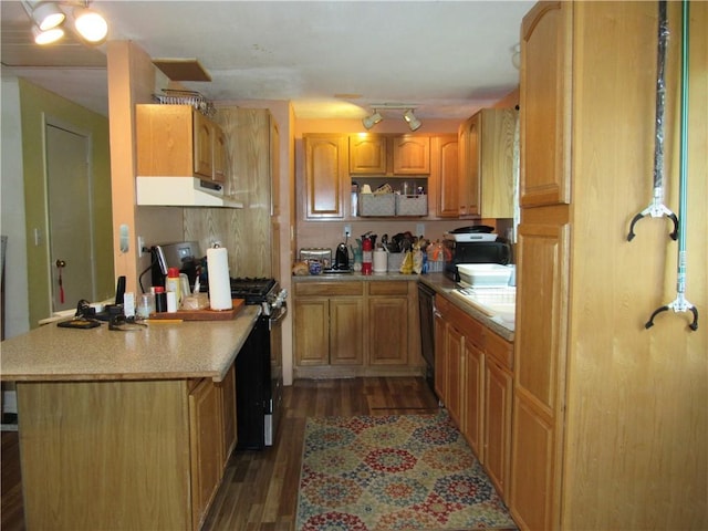 18 Mark Cir, Naples, NY 14512 - kitchen featuring gas range oven, under cabinet range hood, dark wood finished floors, light countertops, and a peninsula