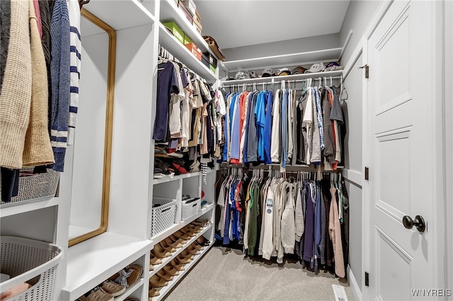 6993 Pine Lk, Pendleton, NY 14120 - spacious closet featuring carpet