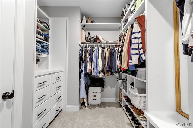 6993 Pine Lk, Pendleton, NY 14120 - walk in closet featuring light colored carpet