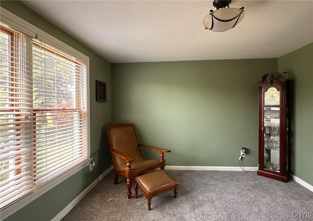 106 Kay Dr, Lenox, NY 13163 - photo 19