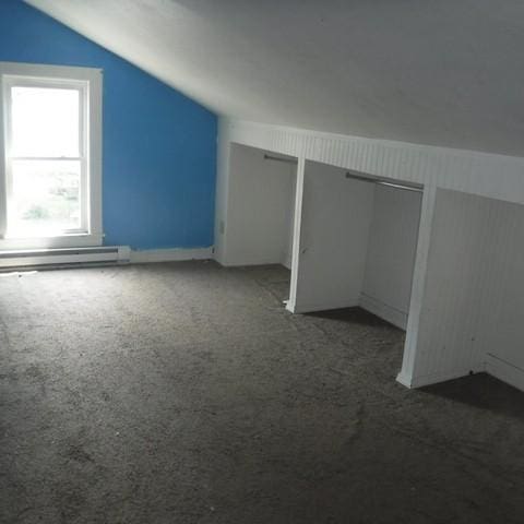 13 E Albion St, Murray, NY 14470 - additional living space featuring a baseboard heating unit, lofted ceiling, and carpet