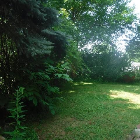13 E Albion St, Murray, NY 14470 - view of green lawn