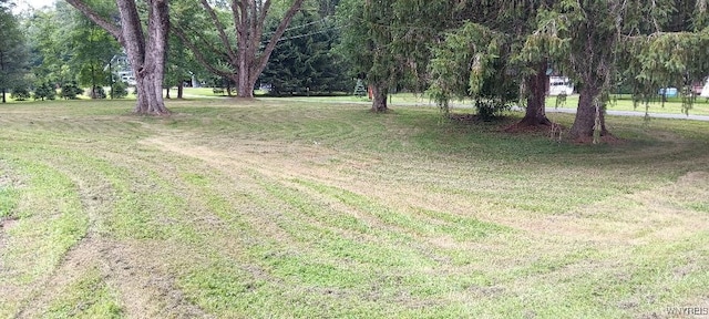 8567 Fairview Ter, Colden, NY 14033 - view of grassy yard