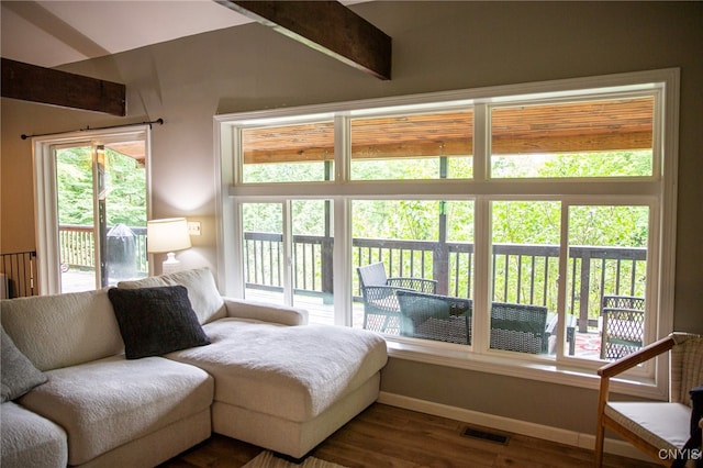 1346 Otisco Valley Rd, Otisco, NY 13110 - living room with dark wood finished floors and vaulted ceiling