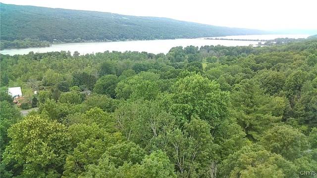 1346 Otisco Valley Rd, Otisco, NY 13110 - aerial view of a large body of water and a forest