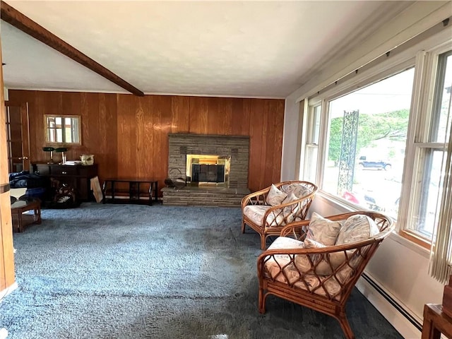 2 Maple Rd, Big Flats, NY 14845 - carpeted living room featuring wood walls, a baseboard radiator, and a stone fireplace