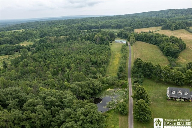 8800 Harmon Hill Rd, Pomfret, NY 14063 - view of rural area with a forest
