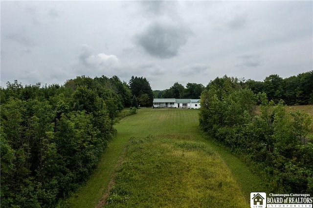 8800 Harmon Hill Rd, Pomfret, NY 14063 - view of green lawn with a view of trees