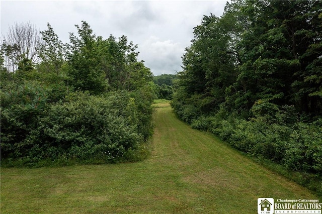 8800 Harmon Hill Rd, Pomfret, NY 14063 - view of grassy yard featuring a view of trees