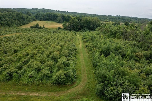 8800 Harmon Hill Rd, Pomfret, NY 14063 - bird's eye view