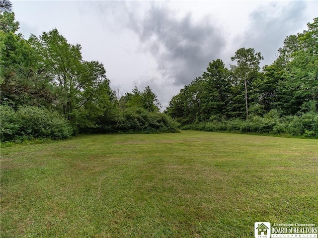 8800 Harmon Hill Rd, Pomfret, NY 14063 - view of green lawn featuring a forest view