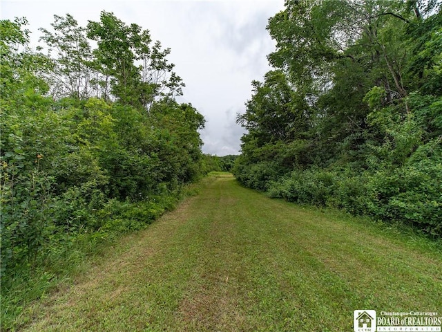 8800 Harmon Hill Rd, Pomfret, NY 14063 - view of yard