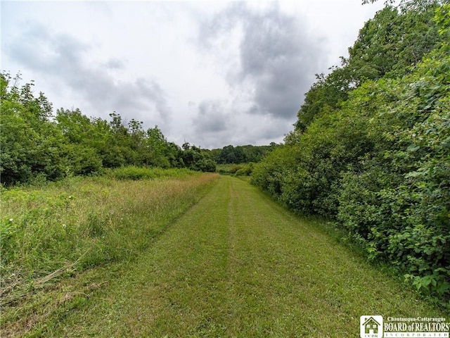 8800 Harmon Hill Rd, Pomfret, NY 14063 - view of yard