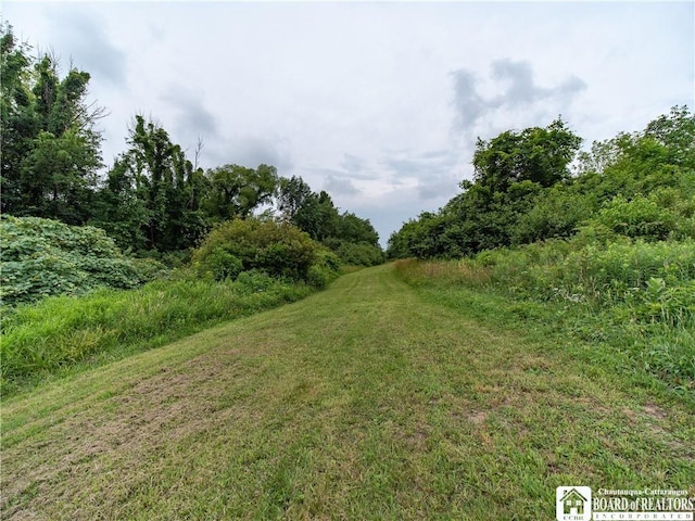 8800 Harmon Hill Rd, Pomfret, NY 14063 - view of yard