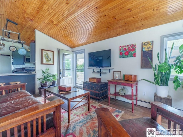 8800 Harmon Hill Rd, Pomfret, NY 14063 - living room with wood ceiling, vaulted ceiling, wood finished floors, and baseboard heating