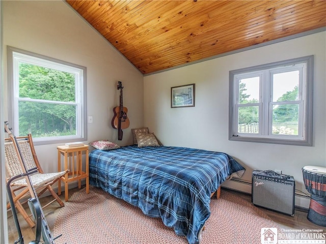 8800 Harmon Hill Rd, Pomfret, NY 14063 - bedroom with vaulted ceiling, wood ceiling, and a baseboard heating unit