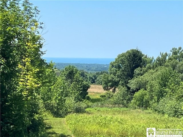 8800 Harmon Hill Rd, Pomfret, NY 14063 - view of mountain backdrop with a forest