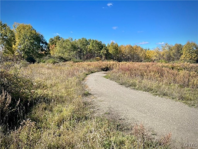 819 Rte 13, Cortland, NY 13045