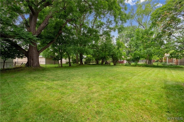 26 Farber Ln, Amherst, NY 14221 - view of yard