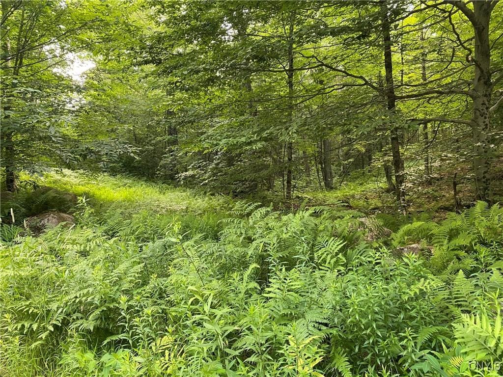 0 State Route 28, Webb, NY 13472