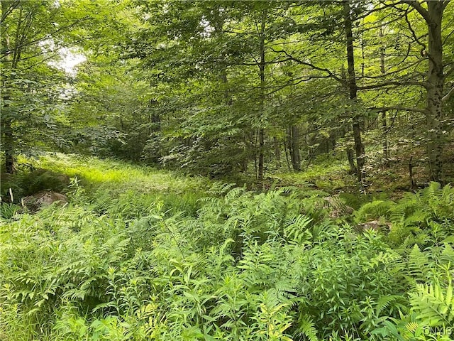 0 State Route 28, Webb, NY 13472
