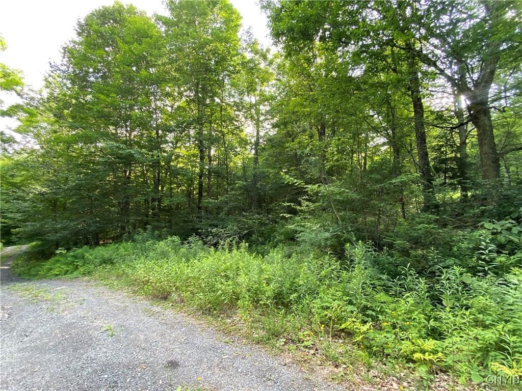 0 State Route 28, Webb, NY 13472