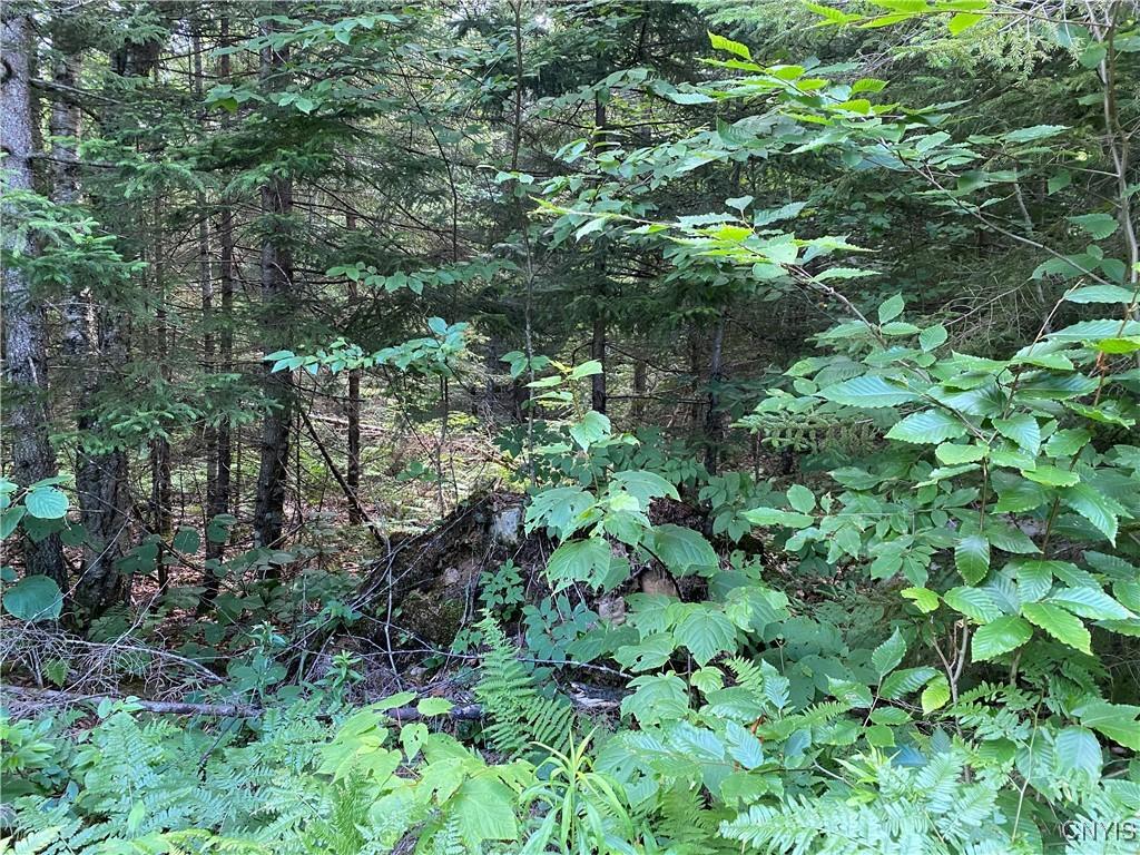 0 State Route 28, Webb, NY 13472