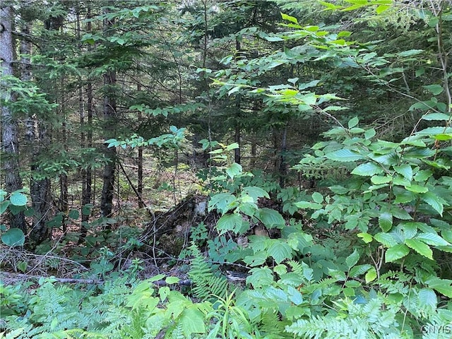 0 State Route 28, Webb, NY 13472